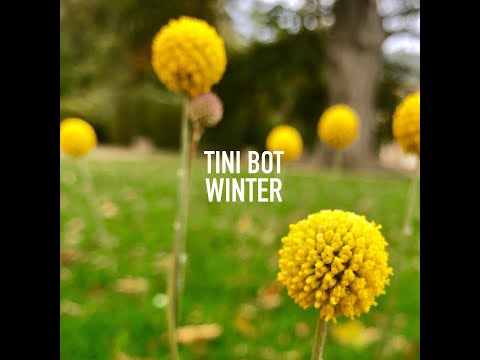 Tini Bot - Winter